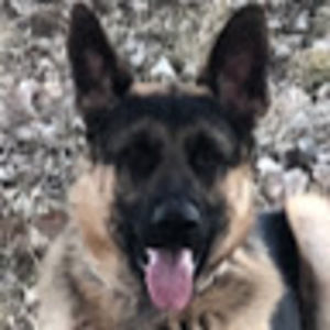 Meet your Posher, Izabela